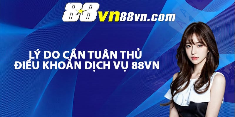 Lý do cần tuân thủ điều khoản dịch vụ 88Vn